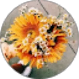 Review From Elza Mirinda Ritama S