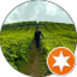 Review From amsalul ihsan