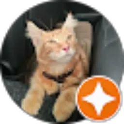 Review From noor wening