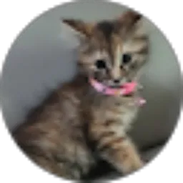 Review From Juri Bazzooka