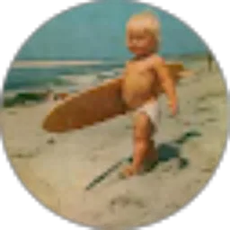 Review From The Radja