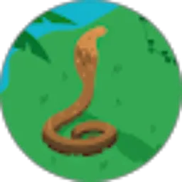 Review From Hasan Ilyasa