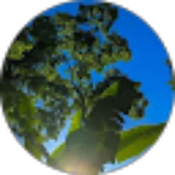 Review From Tatang Sutiarya