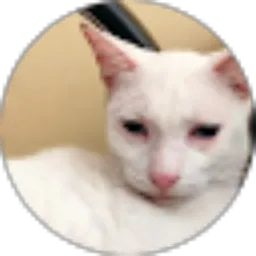 Review From Aidil Fitra