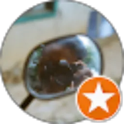 Review From May Roni