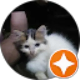 Review From BILL BOYS BP