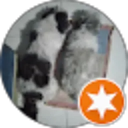 Review From Yefta Karyanto