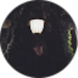 Review From Christopher Lucas