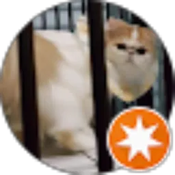 Review From Andhika Bimaskoro