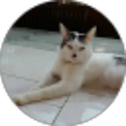 Review From Daffa Adhitya