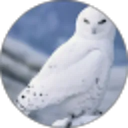 Review From irene christina