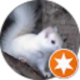 Review From 宫天赐Agung