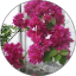 Review From Mr. No Good