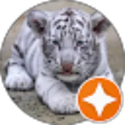 Review From Mazid Al_chusaini