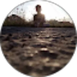 Review From Dani Ubaidillah