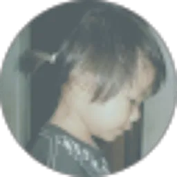 Review From Choirul Anwar