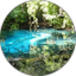 Review From kitty sweet