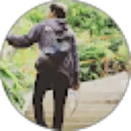 Review From Prima Handoyo