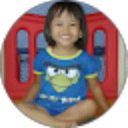 Review From Riescha Arie Saputra
