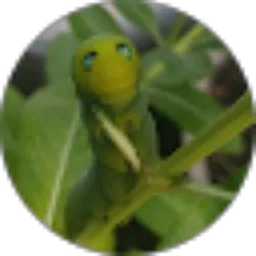 Review From yolanda putrii