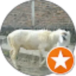 Review From Sahrul Hapid