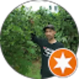 Review From Deby Prihamdani