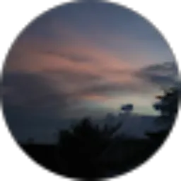 Review From Chandra Okvi