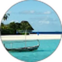 Review From Liu Tjeni