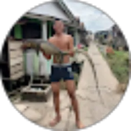 Review From Dedi Junesa