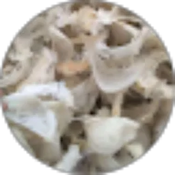 Review From Suara walet berkualitas Channel