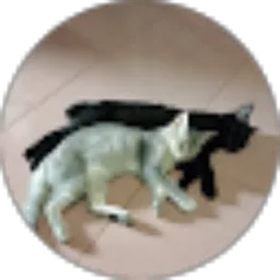 Review From Muhammad Asyraf dildar