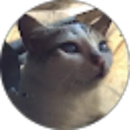 Review From Dixaktizy Haryanto