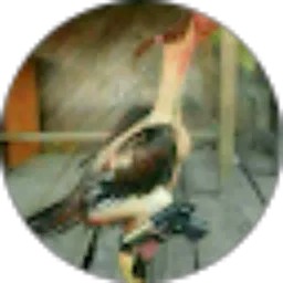 Review From itb Jaya