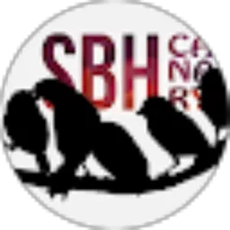 Review From Salvatore Budi hidayat