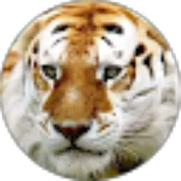 Review From lilik purwito