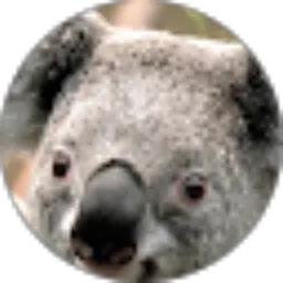 Review From fahmi try wisnu wijaya