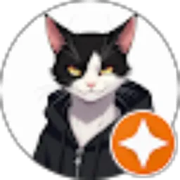 Review From Amir Sidiq