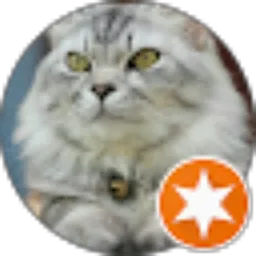 Review From Agustin Agustin