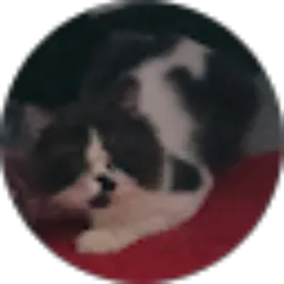 Review From Norhelwatin Najwa