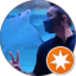 Review From Dimas Bagus