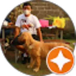 Review From Bayu Kurniawan