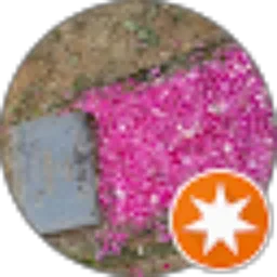 Review From Dewa Erfananda