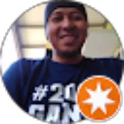 Review From Budi Pramono