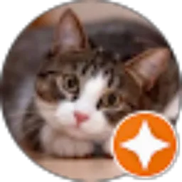 Review From Santuy Cuy