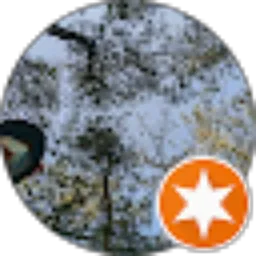 Review From Turmudi AKF