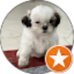 Review From jerry tracker