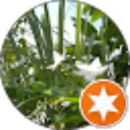 Review From Lu'lu Nisrinanda