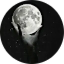 Review From Firdous Adindra