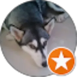 Review From Miska Ku