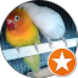 Review From mike doohan